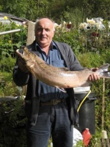 Eurwyn b